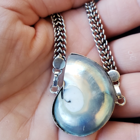 New Ammonite Fossil 925 Silver Bangle Bracelet. - Picture 10 of 16